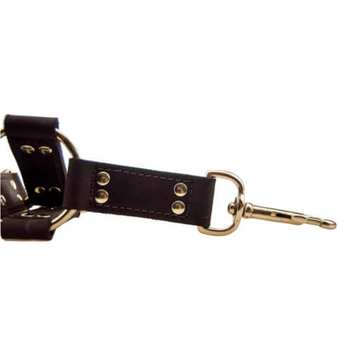 n10100-bound-4-way-hog-tie-2_2 Bound Hog Tie for Bondage