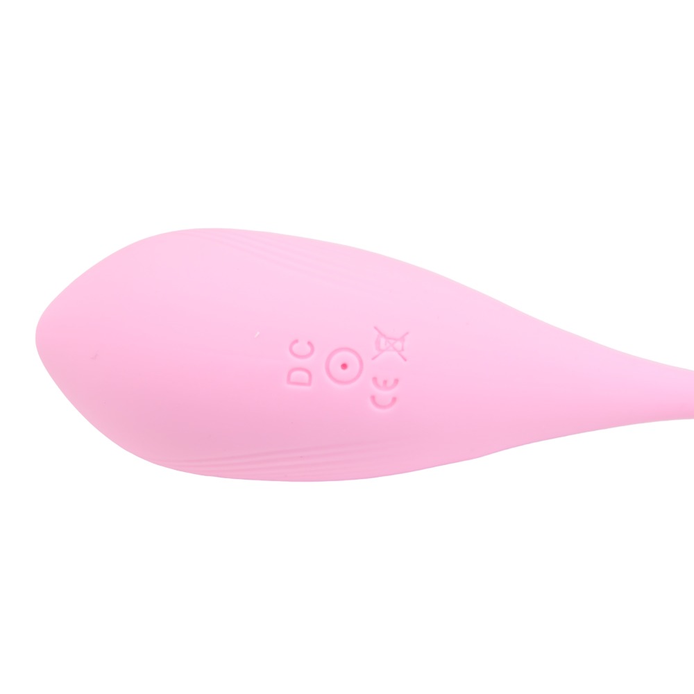 n12024-loving-joy-remote-controlled-vibrating-egg-3